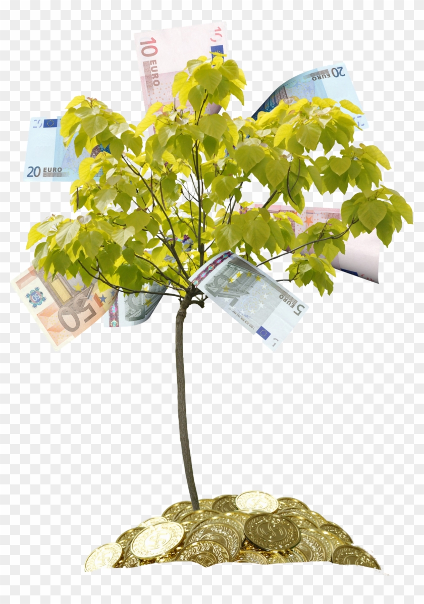 Tree Money Drawing Clip Art - Денежное Дерево Пнг #1330363