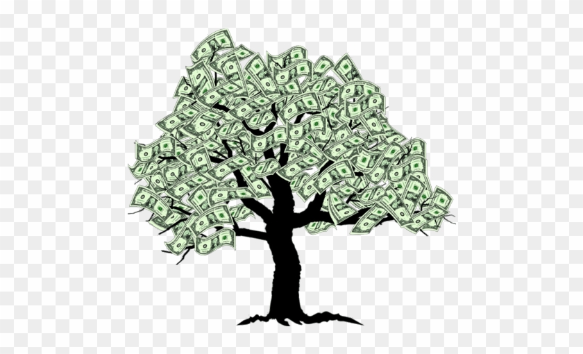 What Is Money Tree System - Does Money Grow On Trees #1330365