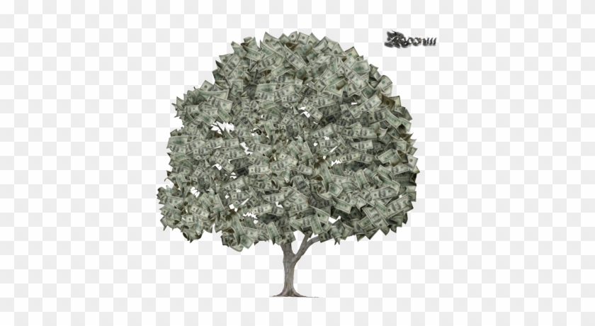 Money Tree Images - Money Tree Psd File #1330391