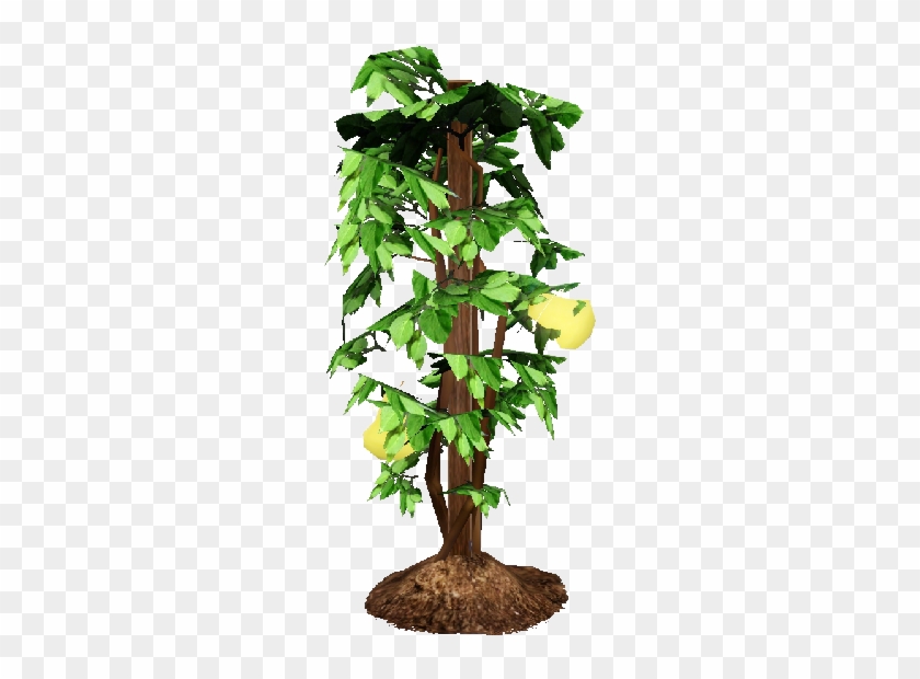 Money Tree, Omni Plant - Sims 3 Life Plant #1330394