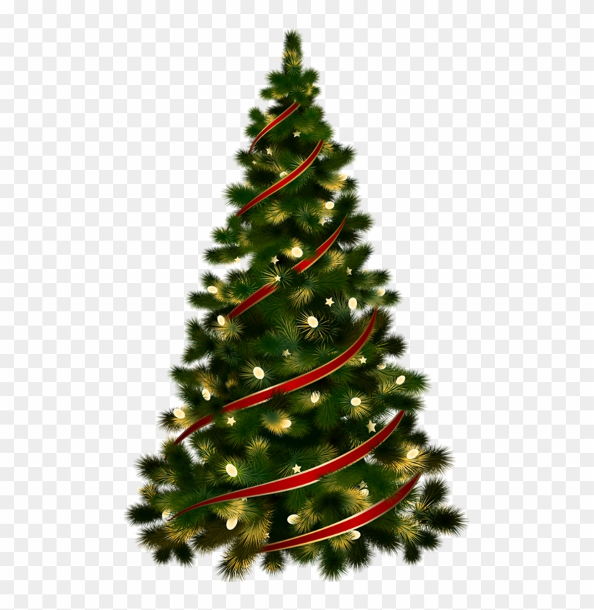 Christmas Tree With Transparent Background #1330433