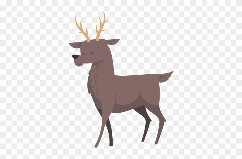 Daithí Deer - Elk #1330446