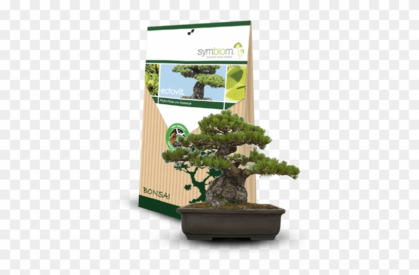 Ectovit Bonsai - Ectovit Bonsai - 100 G #1330518