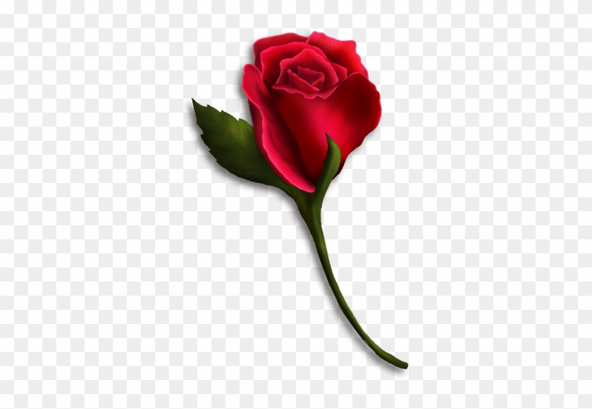 Single Rose Clip Art - Single Red Rose Clip Art #1330568