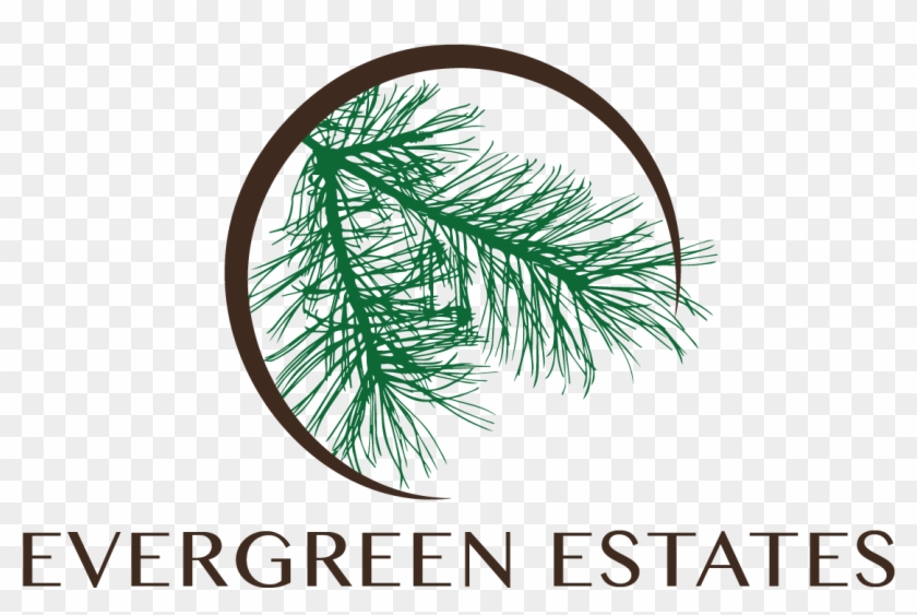 Evergreen Estates In Montgomery, Al Via Mhvillage - Season's Greetings From Utah - Pine Branches And Ornament #1330584