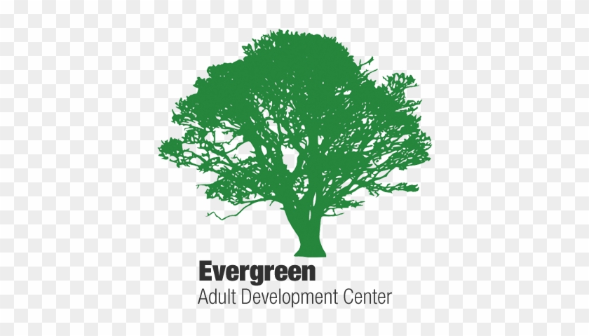 Empowering Individuals For Excellence And Independence - Clipart Tree Silhouette Trees Black #1330609