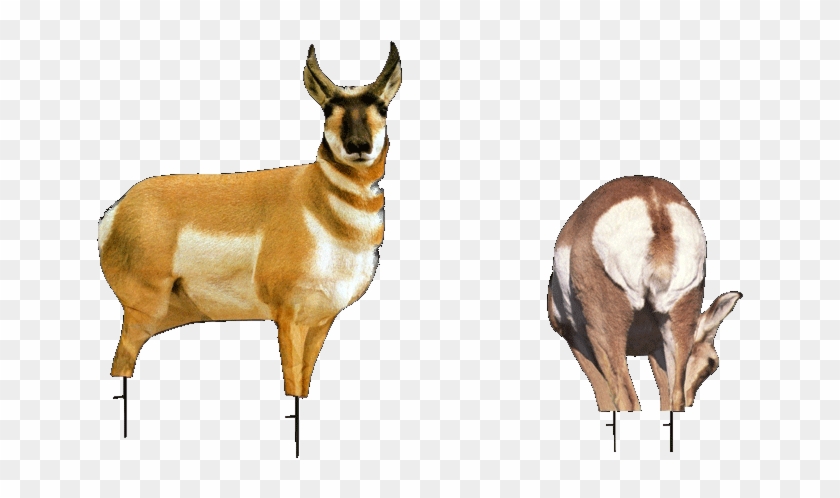 Montana Decoy Antelope Buck And Doe Combo Decoy Pack #1330860