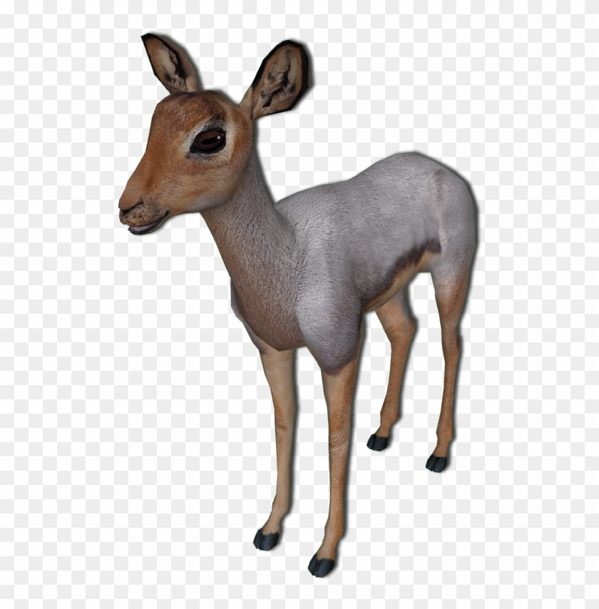 Beira Antelope Wip By Grandechartreuse - Roe Deer #1330863
