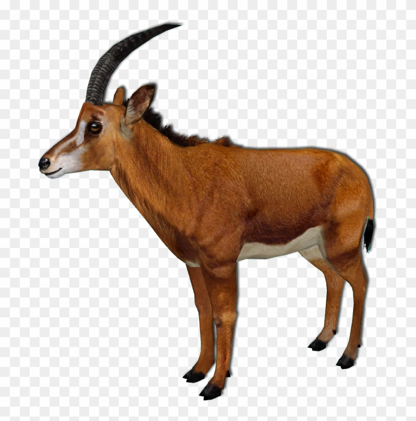 Giant Sable Antelope Improved Female By Grandechartreuse - Tesla Model 3 #1330902