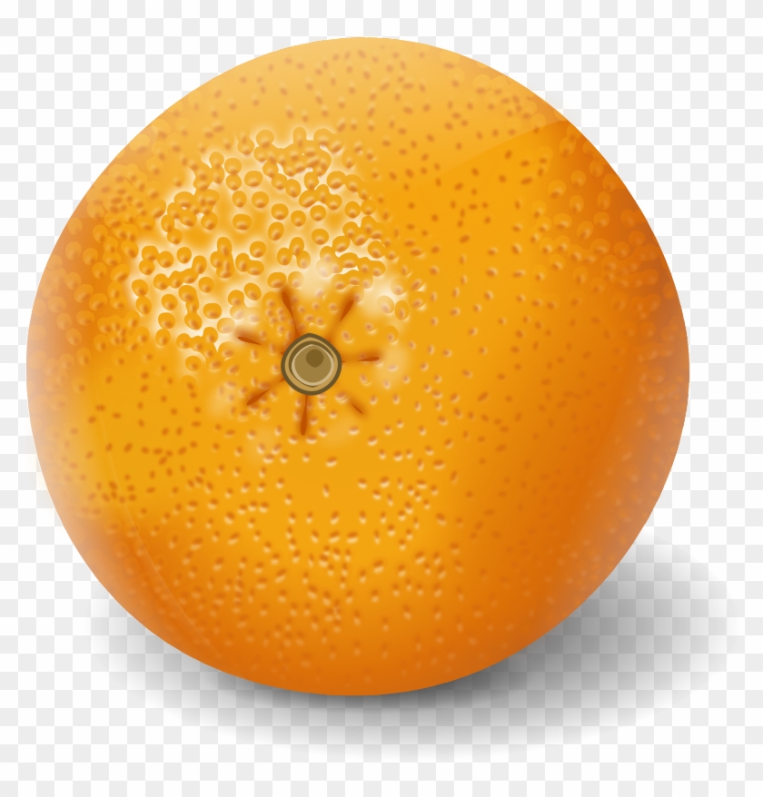 Free Clipart Orange Apelsinas Keistutis Rh 1001freedownloads - Realistic Clipart Of Fruit #1331002
