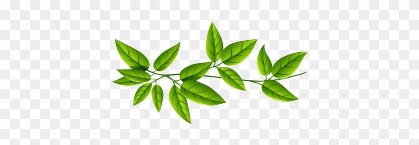 Leaves Group Line Transparent Png - Green Leaves Transparent Background #1331034