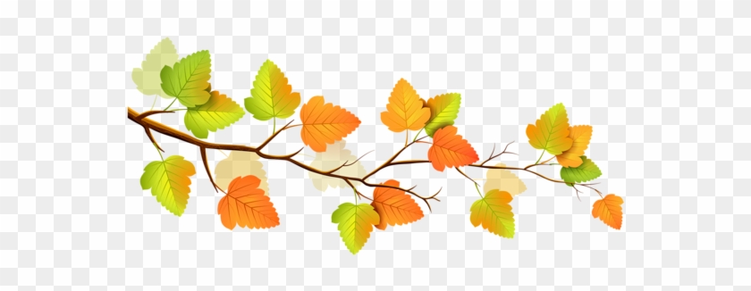 Fall Branch Decor Png Clipart - Branch Png Clipart #1331076