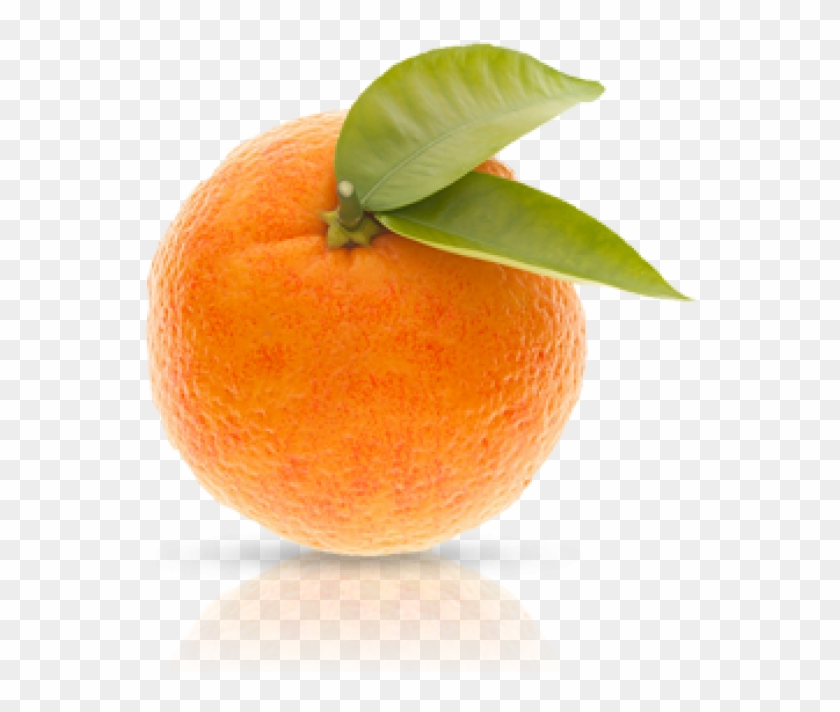 San Pellegrino Orange 33cl San Pellegrino Orange 33cl - Tangerine #1331167