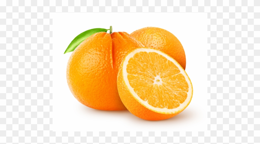 Navel Orange Tree - Citrus × Sinensis #1331179