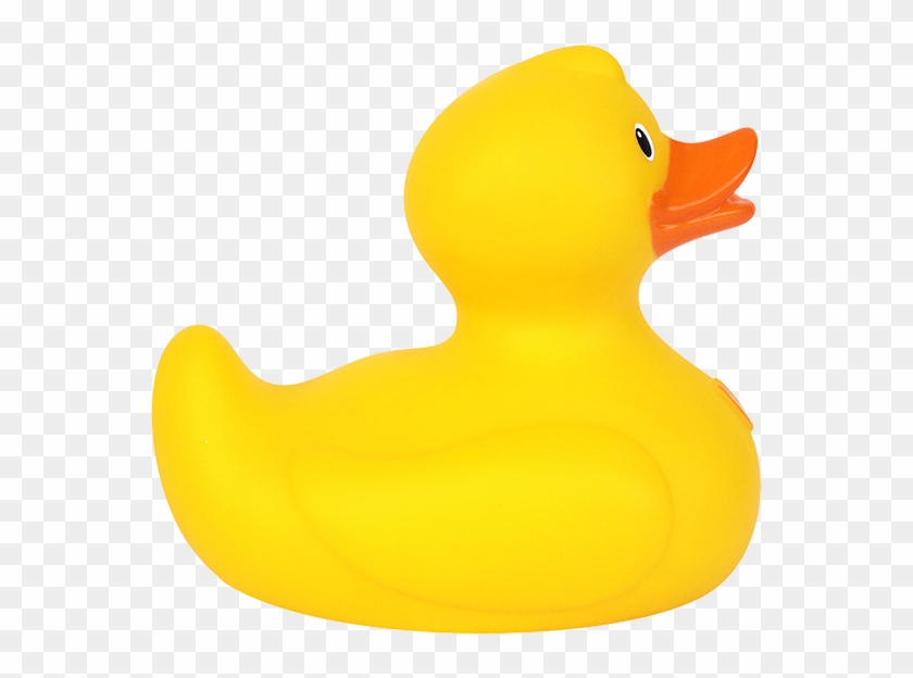 Duck #1331193