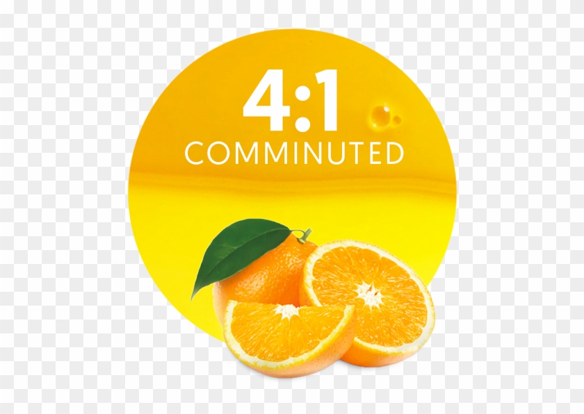 The Type Of Orange Comminuted The Client Should Choose, - Bitter Orange #1331224