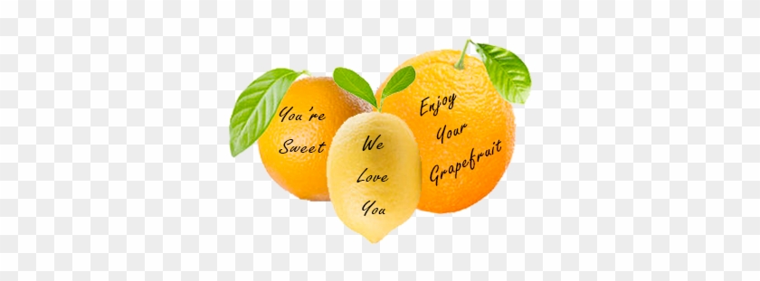Message Fruit - Tangerine #1331231