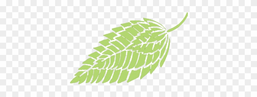 Fern #1331342