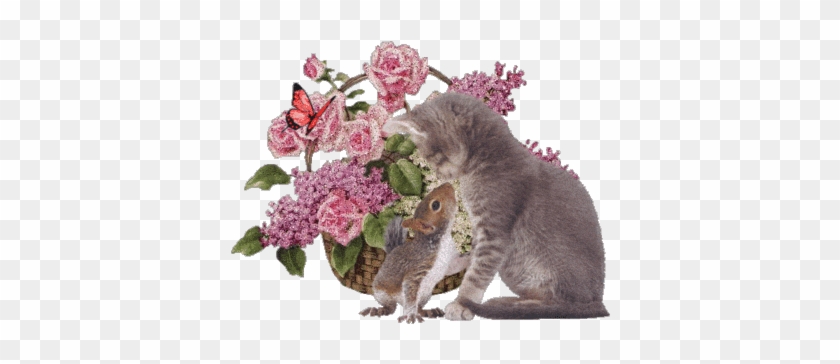 Cats And Flowers Gif #1331492