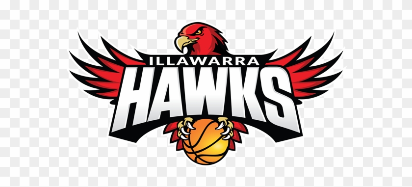 Illawarra Hawks, National Basketball League, Wollongong, - Basketball Team Hawks Logo #1331504