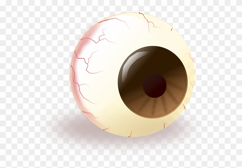 Eyes, Eye, Brown, Cartoon, Eyeball - Eye Globe Png #1331633