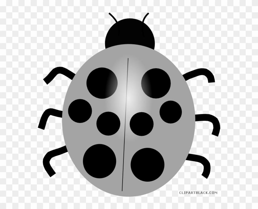 Wonderful Ladybug Animal Free Black White Clipart Images - Cartoon Lady Bugs Clipart #1331812