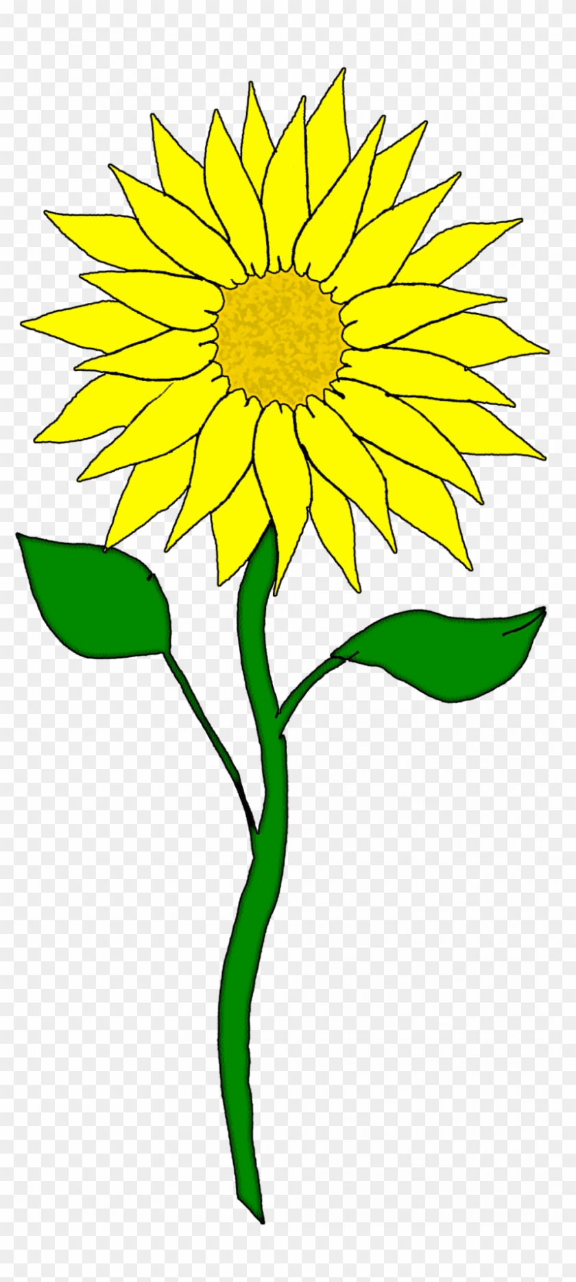Sunflower Clipart #1331938