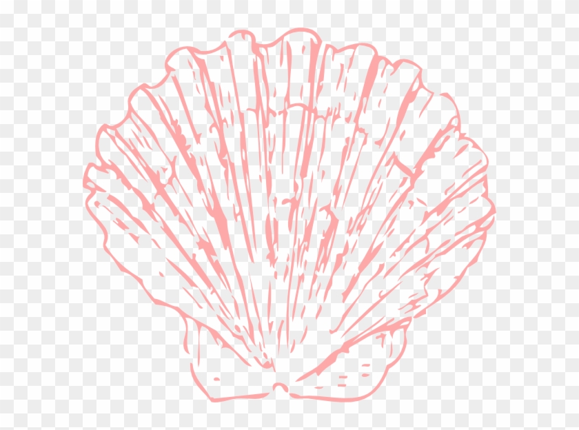 Seashell Transparent Png Pictures - Seashells Clipart Transparent #1332073