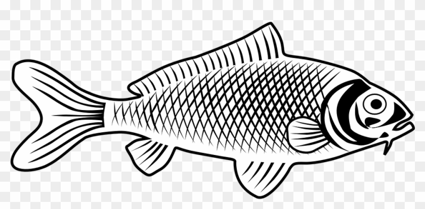 Winter Cliparts Fish 28, Buy Clip Art - Line Art Fish #1332305