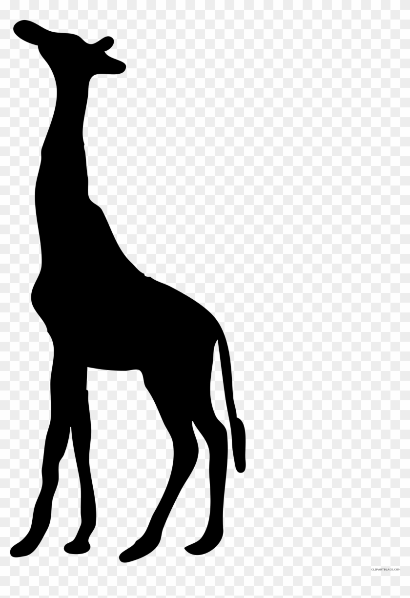 Black And White Giraffe Animal Free Black White Clipart - Dear Keith: Not Everything Is As It Seems #1332353