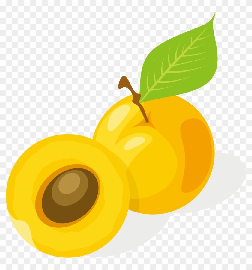 Orange Juice Apple Apricot - Vector Graphics #1332449