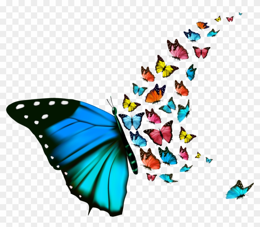 Window Wall Decal Sticker Polyvinyl Chloride - Beautiful Butterfly Background #1332588