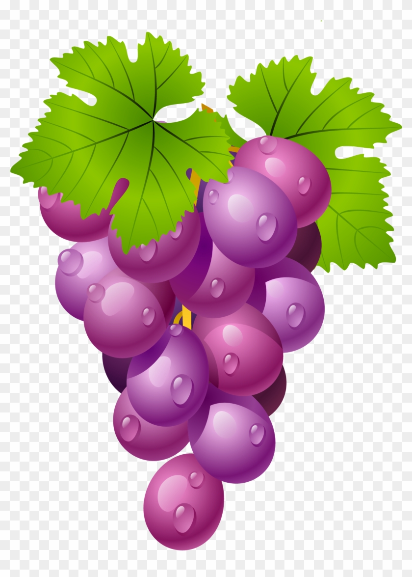 Grapes Clipart 1 Clipart Kids Pedia - Grapes Fruit Clip Art #1332672