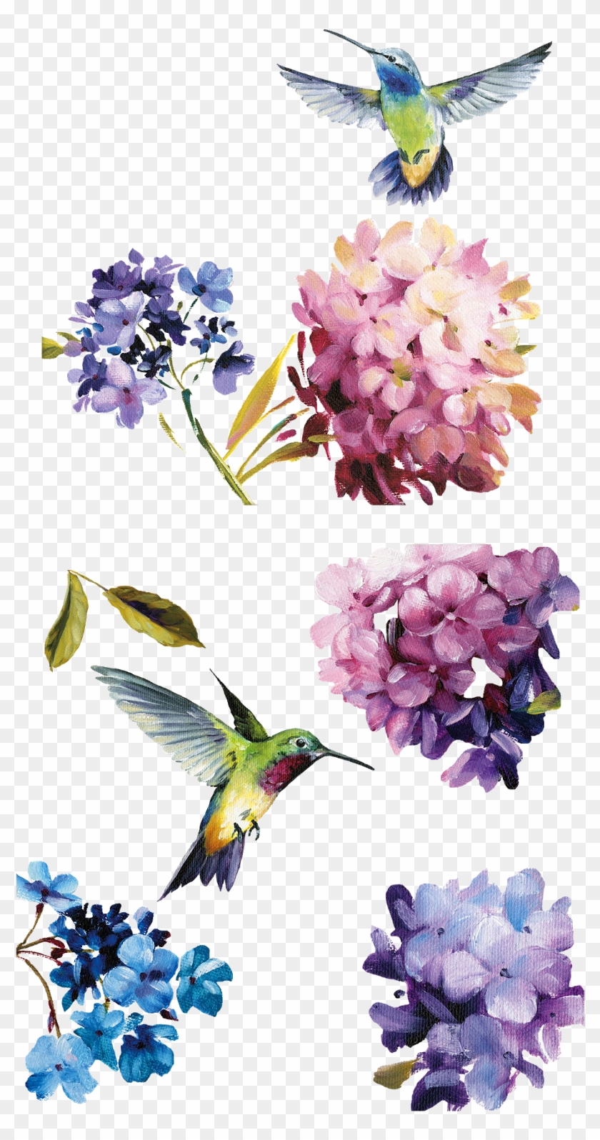 Çiçekler Png Clipart Lisa Audit - Framed Photographic Print: Spring Nectar Square Iii #1333029