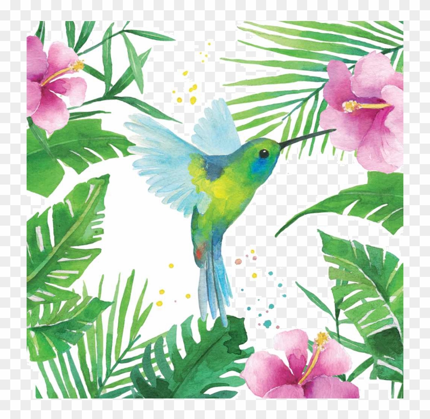 Buy Napkins Ppd Tropical Hummingbird 1332706 Elkor - Serviette En Papier Tropicales #1333030