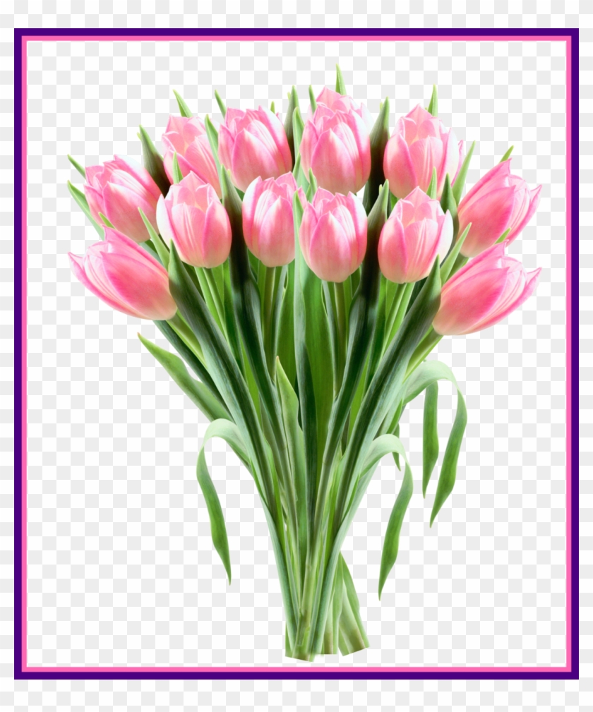 Awesome Pink Tulips Transparent Png Clipart Picture - Tulpe-mutter-tageskarte Grußkarte #1333035