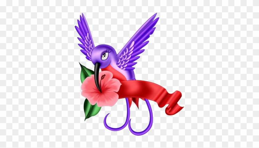 El Humming Bird - Bird #1333056