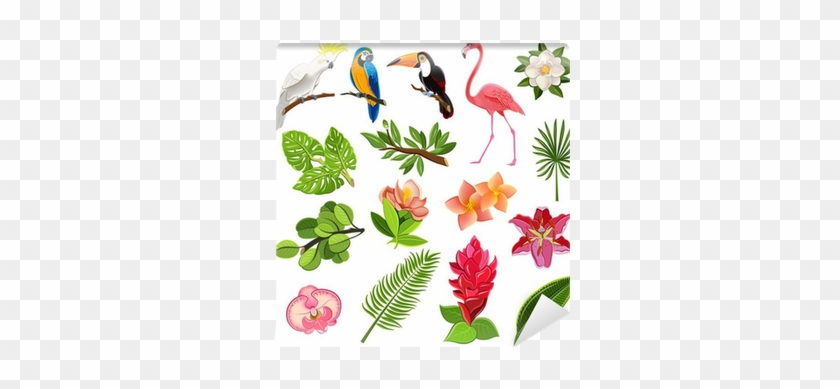 Tropical Birds And Plants Pictograms Set Wall Mural - Tropical Bird Vector #1333061