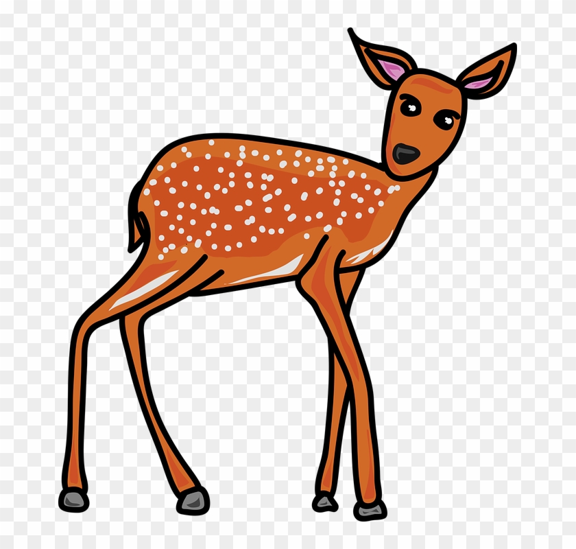 Dear Clipart Hd Animal - Deer #1333142