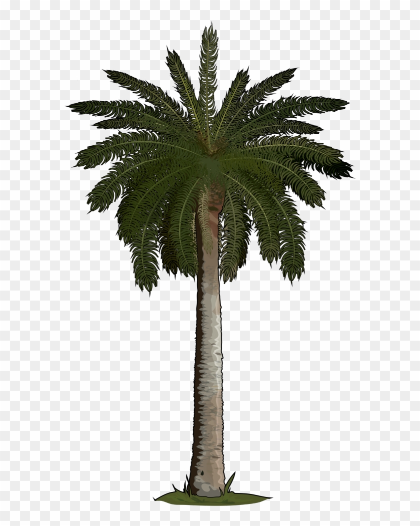 Con Palmera Logo - Artificial Palm Tree With Lights #1333207