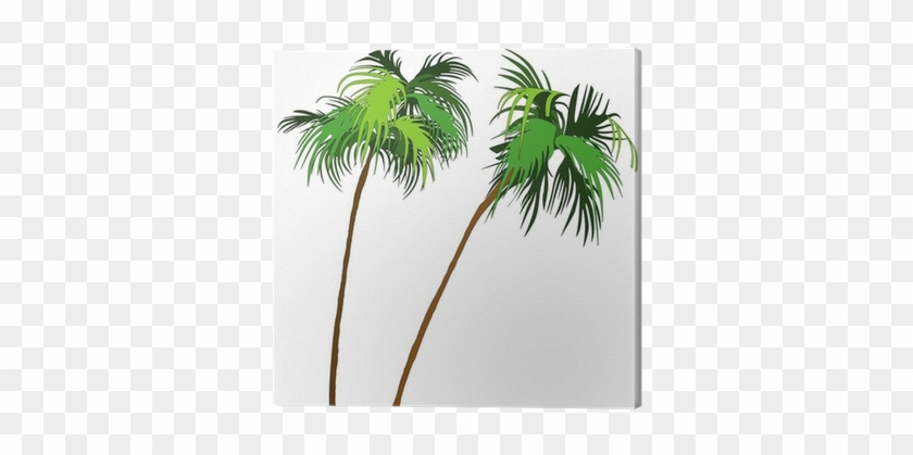 Cuadro En Lienzo Palms - Palm Tree Clip Art #1333210
