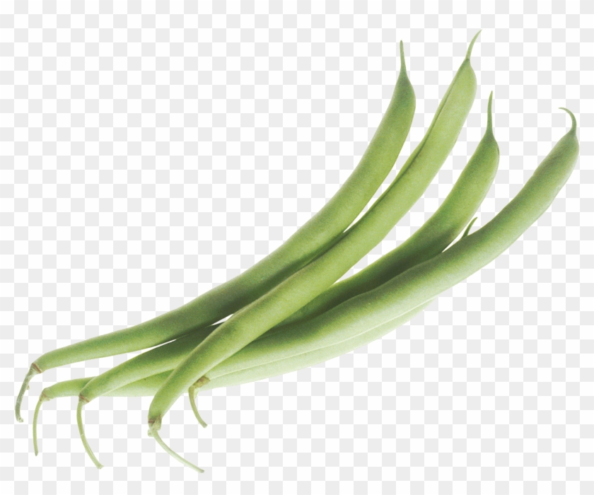 Butter Beans Transparent Png Stickpng - Green Beans Png #1333235