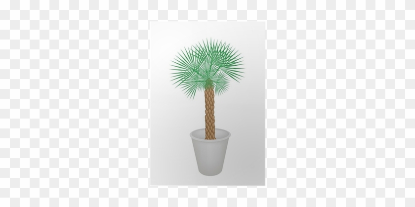 Póster Ilustración De Una Palmera En Maceta Del • Pixers® - Flowerpot #1333246