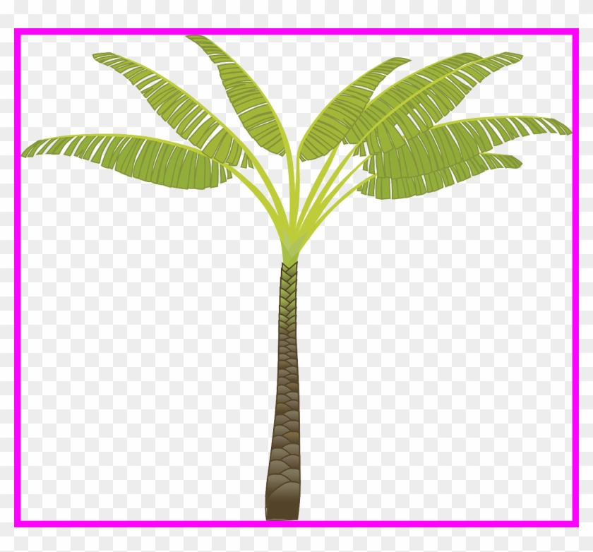 Stunning Island Palm Tree Leaves Plant Jungle Pa Pict - Tribe Has Spoken. Mug #1333247