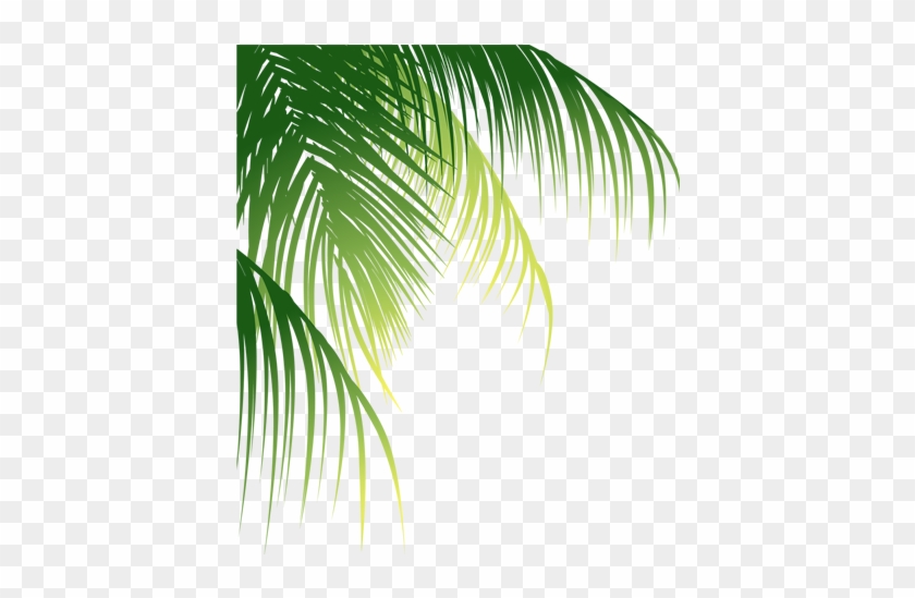 Leaf Arecaceae Euclidean Vector Coconut - Coconut Leaves Png #1333260