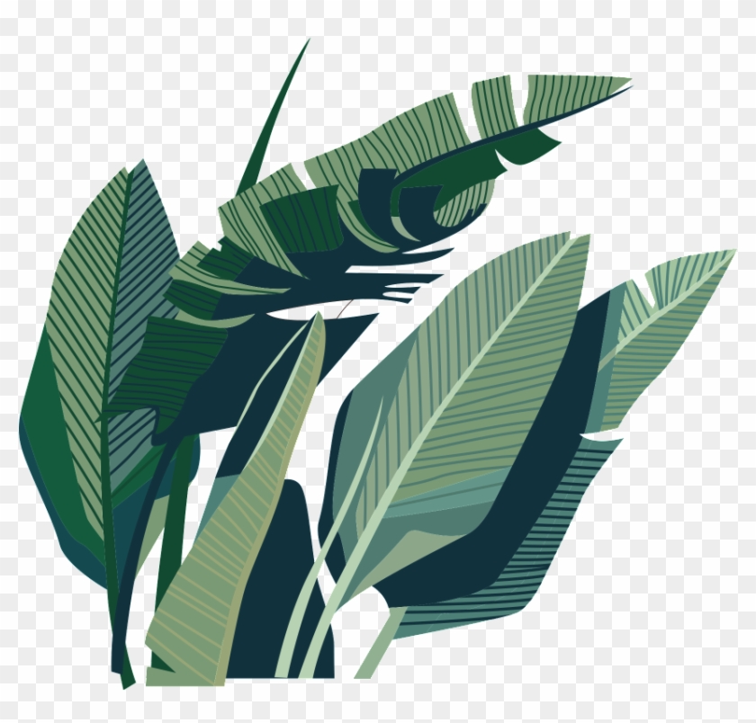 Leaf Coconut Illustration - Leaf #1333262