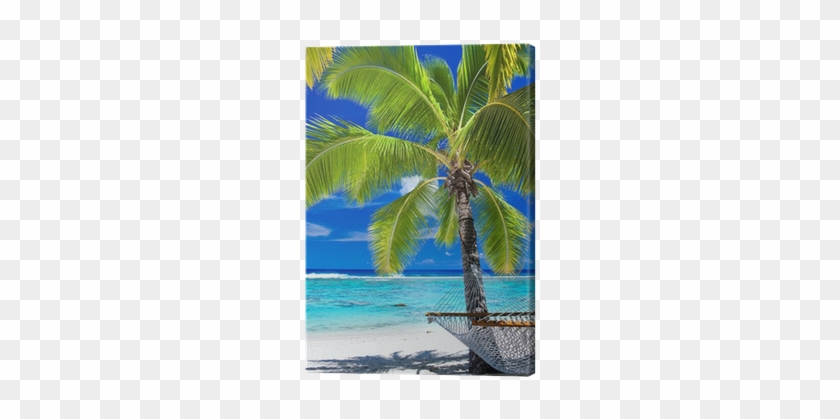 Tableau Sur Toile Hamac Vide Sous Le Palmier Sur La - Poster: Valigursky's Empty Hammock Under Palm Tree #1333268