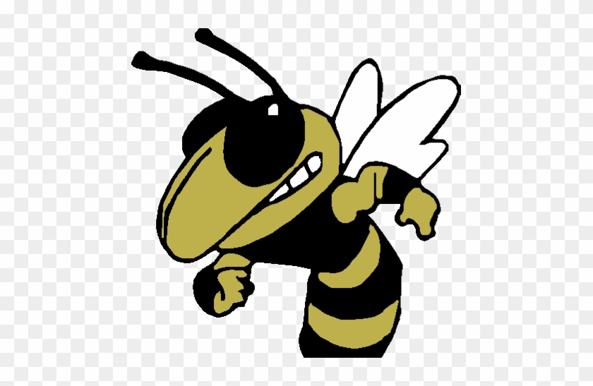 Hornets Athletics - Georgia Institute Of Technology #1333352