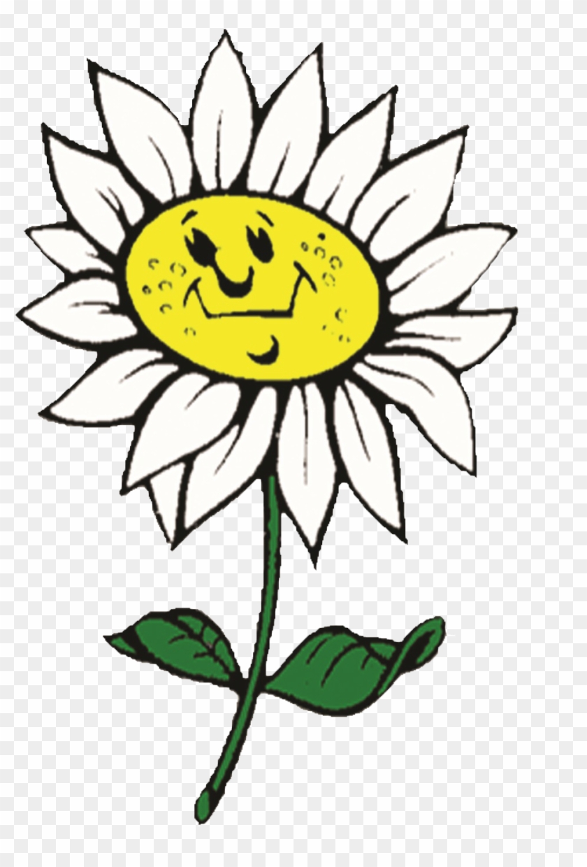 Cut Flowers Floral Design Sunflowers Plant Stem Clip - Cvet Clipart #1333397