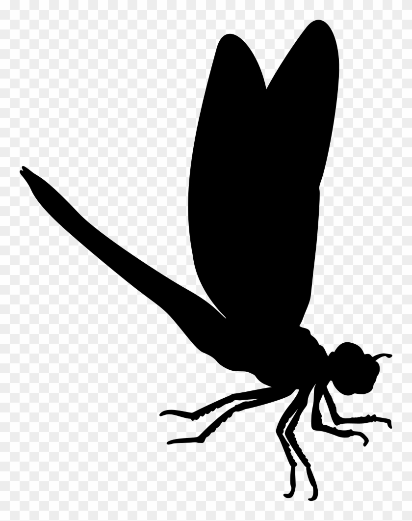 Dragon Fly Insect Animal Shape Comments - Fly Silhouette Png #1333499